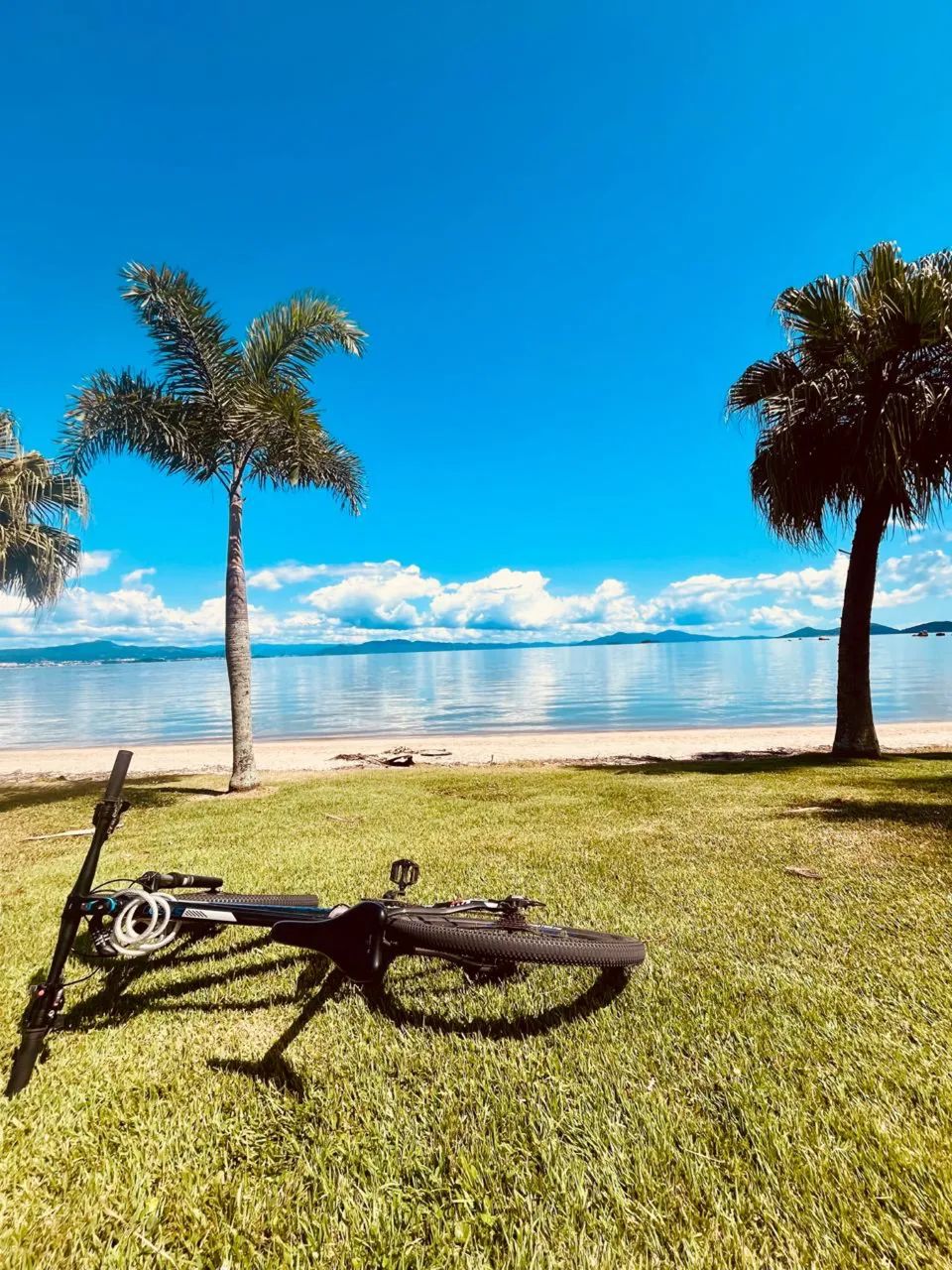 Bicicleta MTB Rockrider Aro 29 Shimano - Foto 3