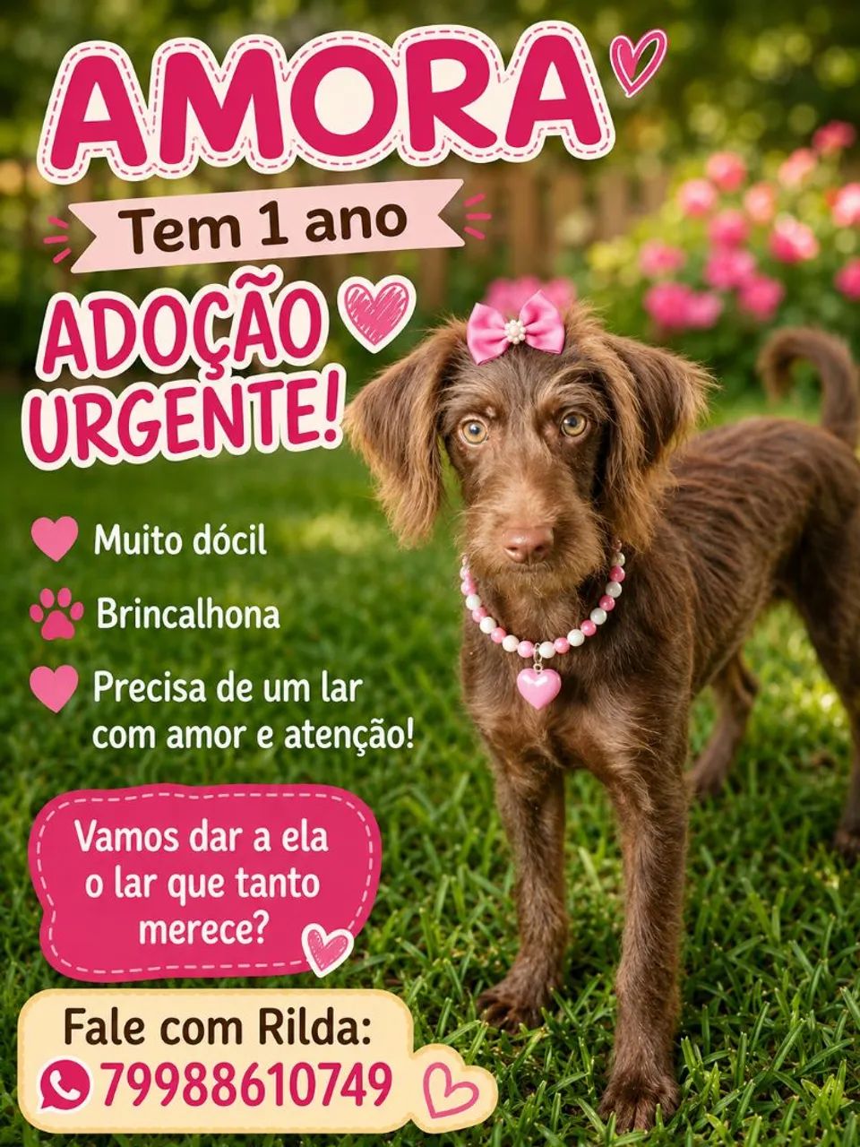 AMORA
