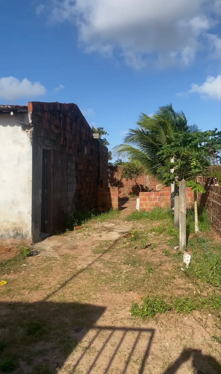Vendo terreno com casa em Murici  - Foto 4