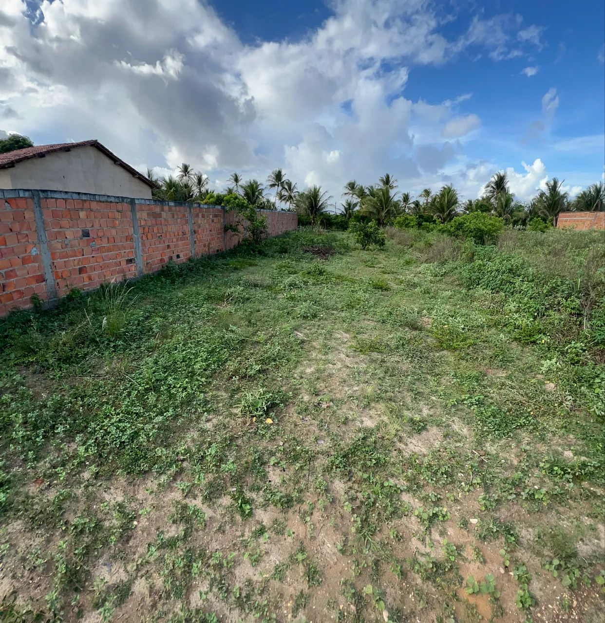 Terreno em Salgado-SE  - Foto 2