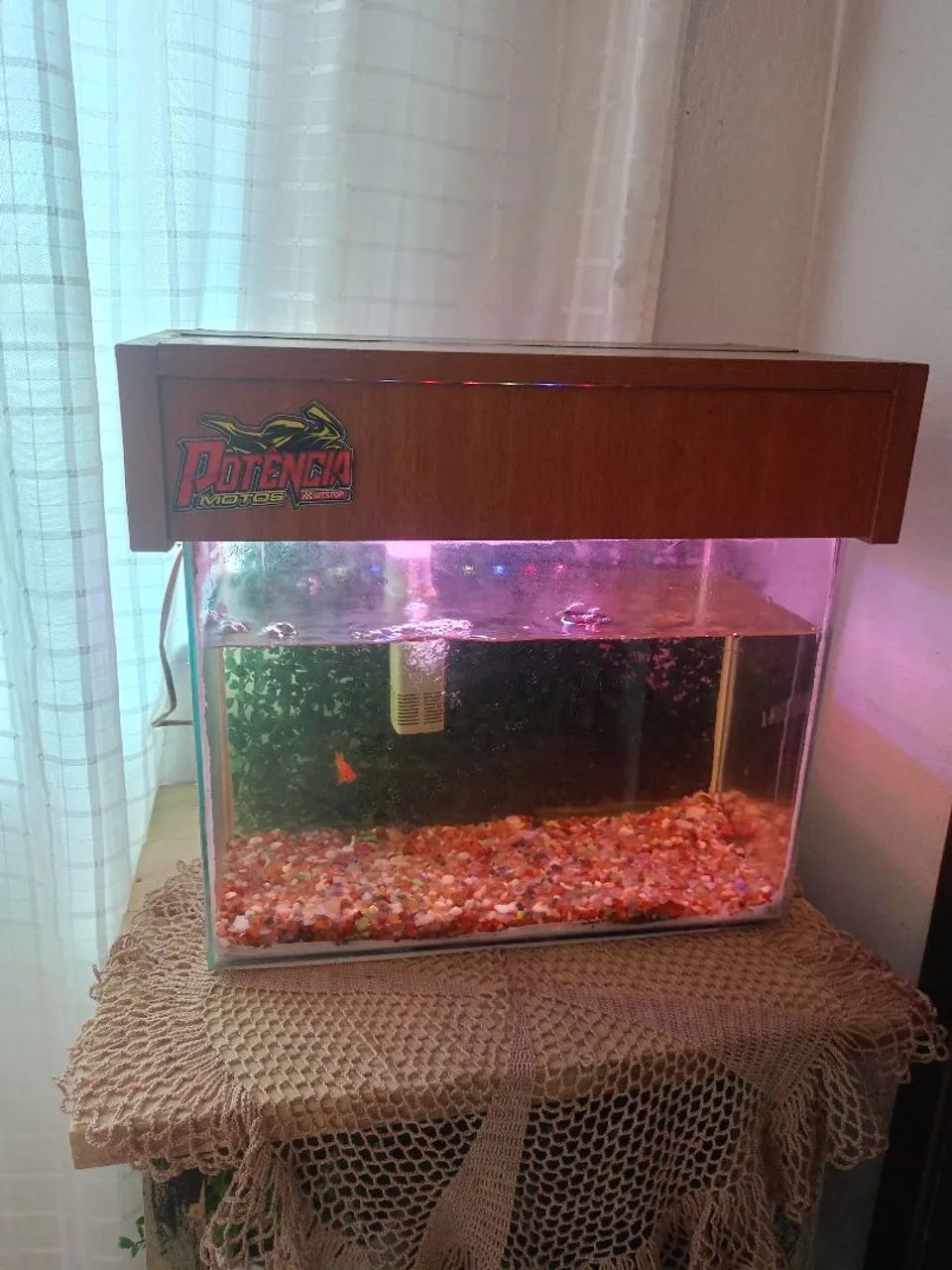 Aquário 25 litros  - Foto 3