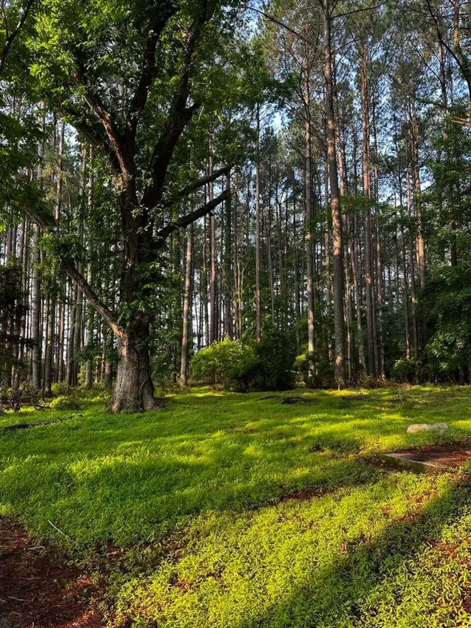 Lote 1000m² com Acesso Rápido para São Paulo