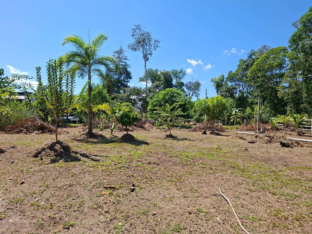 Lindo terreno pra sítio  - Foto 4
