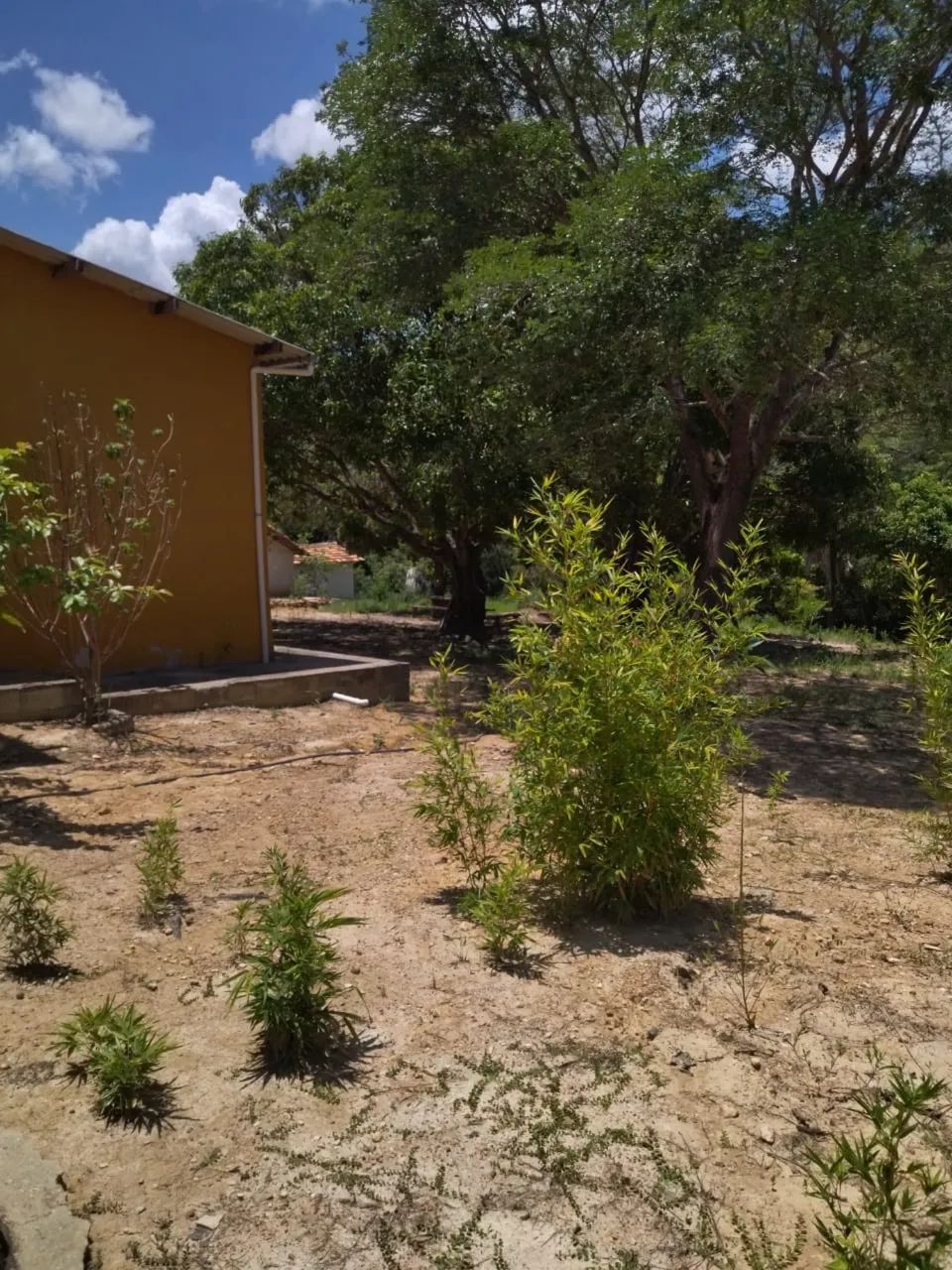 GRANDE OPORTUNIDADE SÍTIO Á VENDA SERRA  - Foto 5