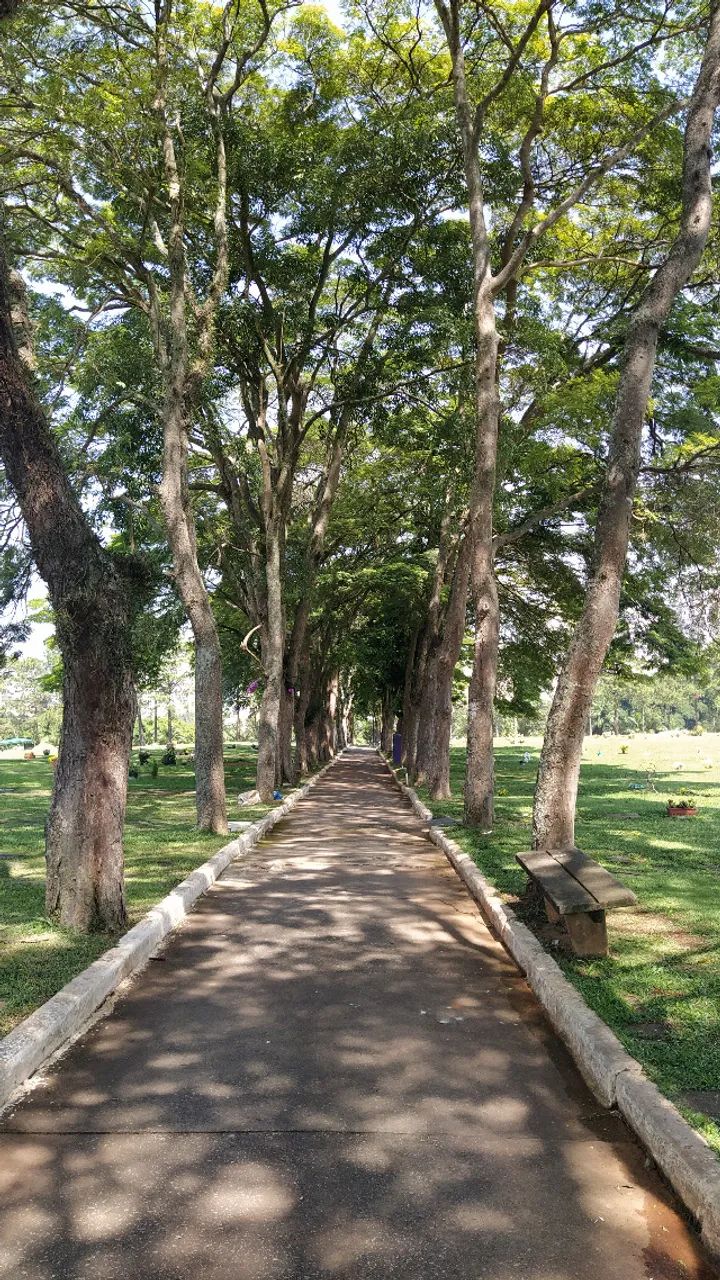 Jazigo no Cemitério de Congonhas - Foto 4