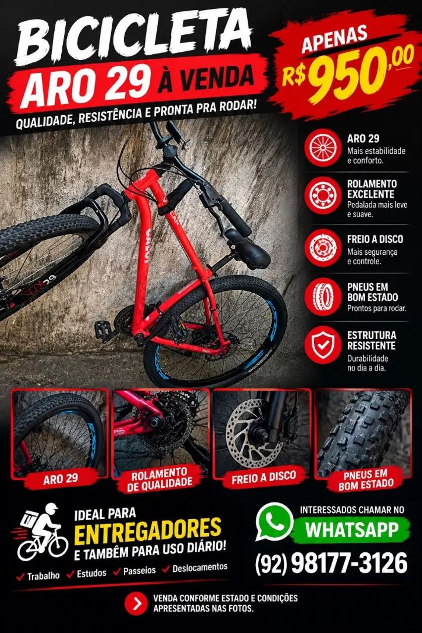 Bicicleta Aro 29