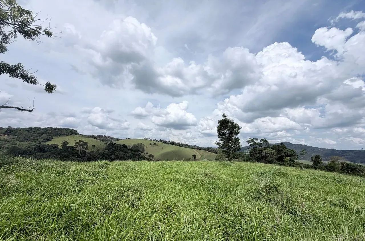 Imóvel para venda possui 65000 metros quadrados em Área Rural de Pinhalzinho - Pinhalzinho - Foto 2