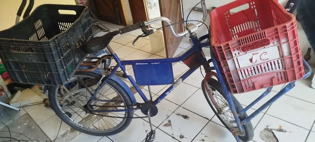 Bicicleta cargueira 