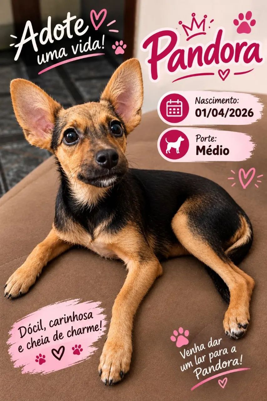 Adoção responsável!  - Foto 2