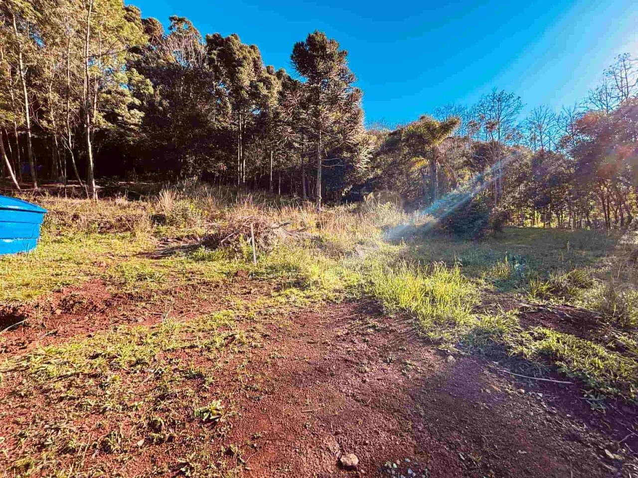 TERRENO À VENDA - GRAMADO/RS - Foto 2