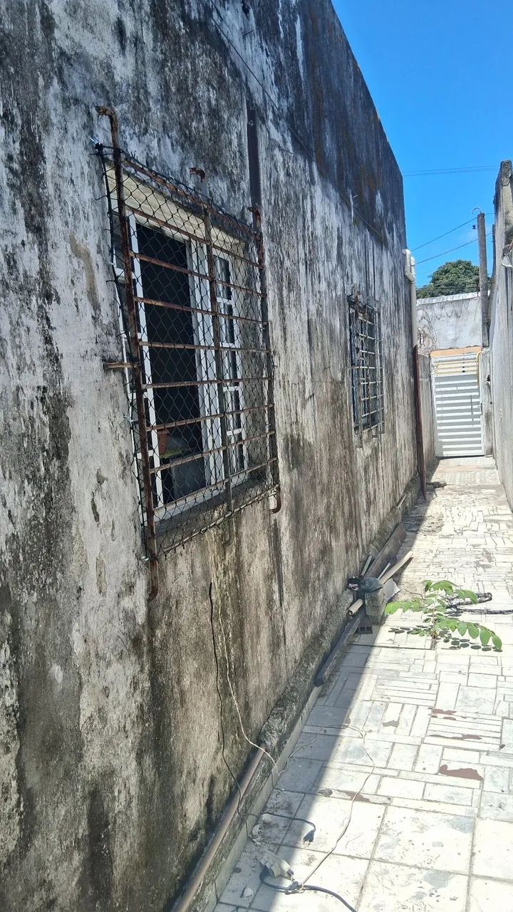 Telas de proteção em geral  - Foto 4