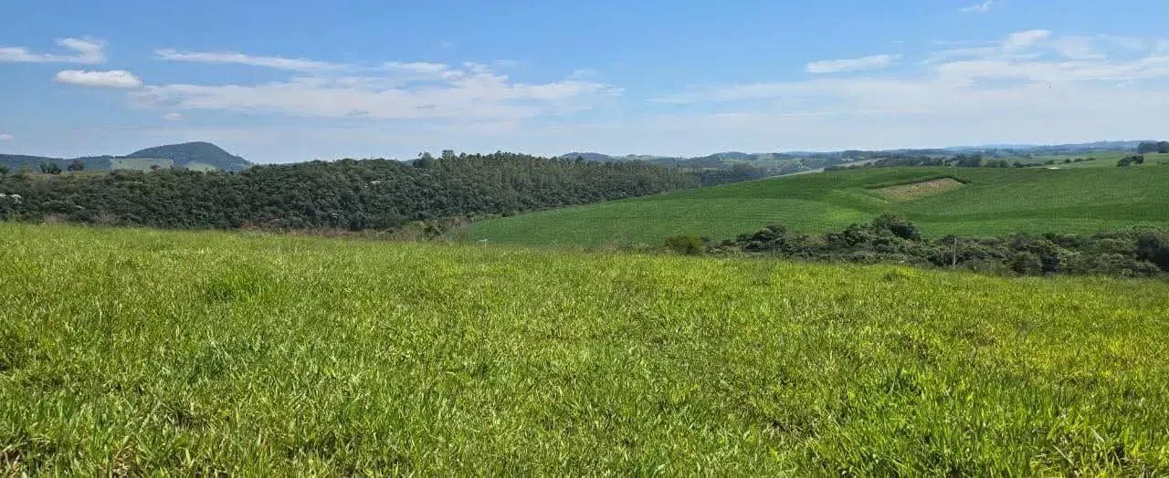 Terreno Campo Verde - Foto 5