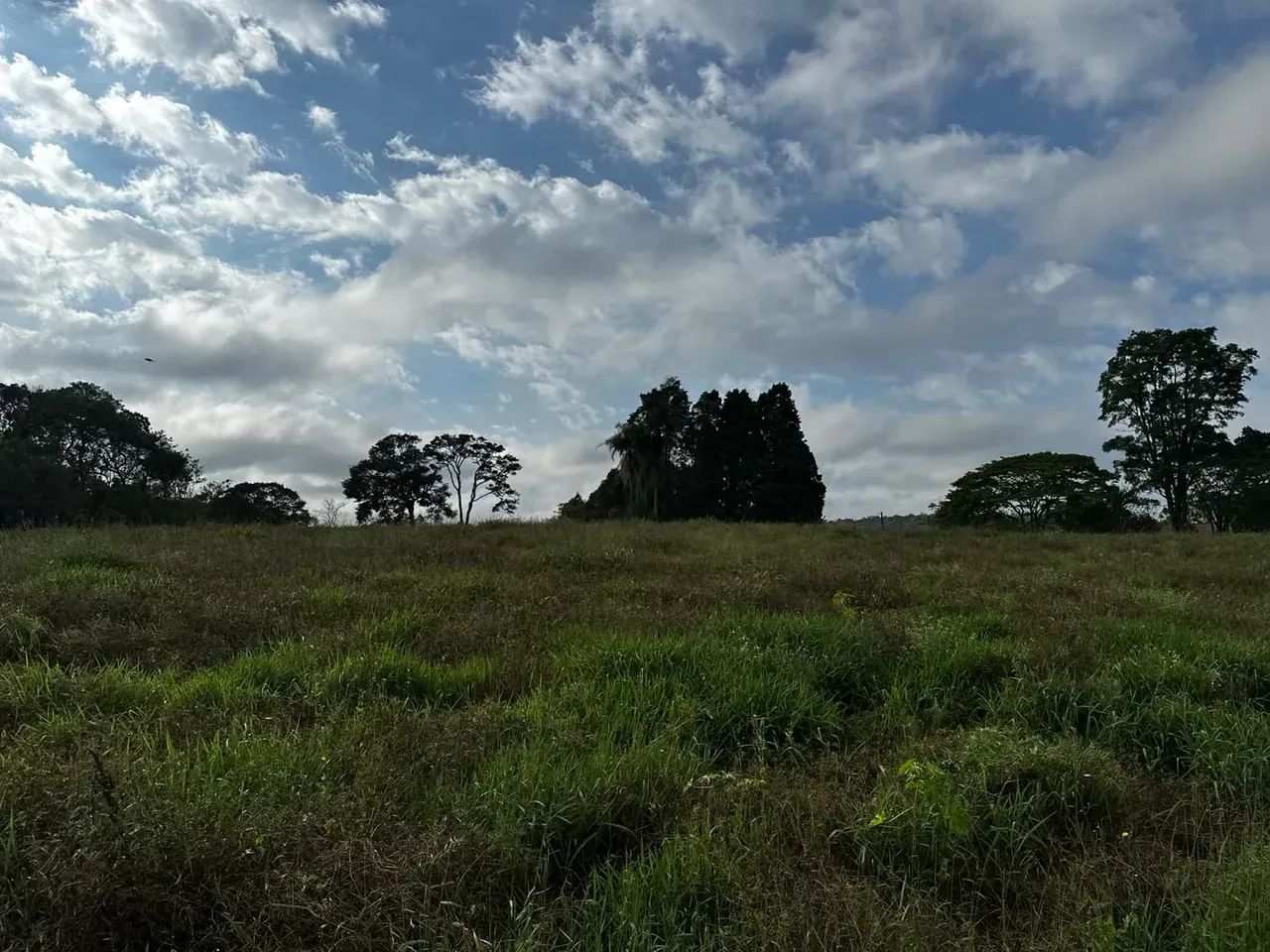 Terreno de 1.000 m²: Campo e Cidade Perto - Foto 4