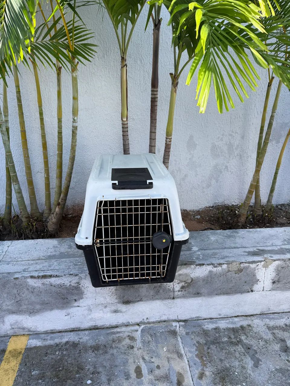 Caixa transporte cães e gatos  - Foto 3