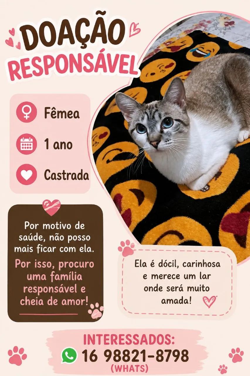 Doação responsável 