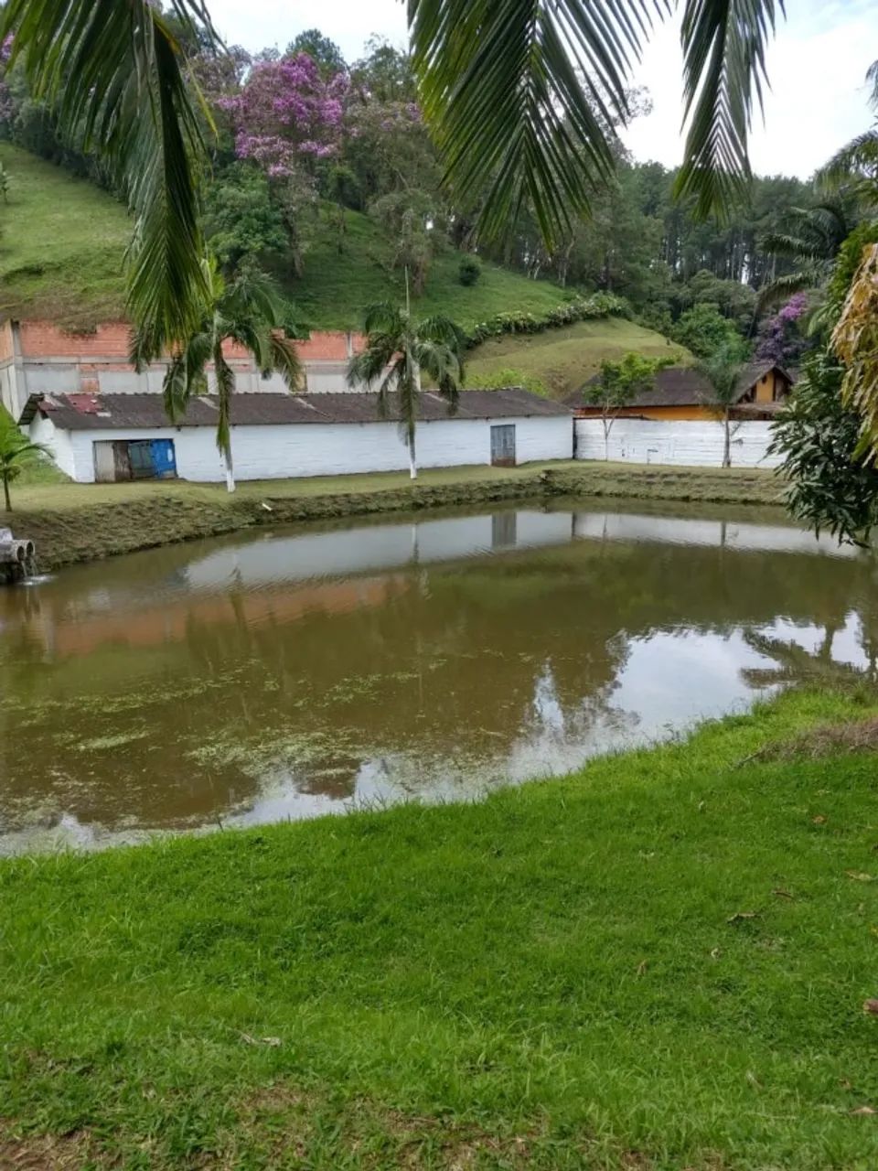 Foto - Rio Grande da Serra - 