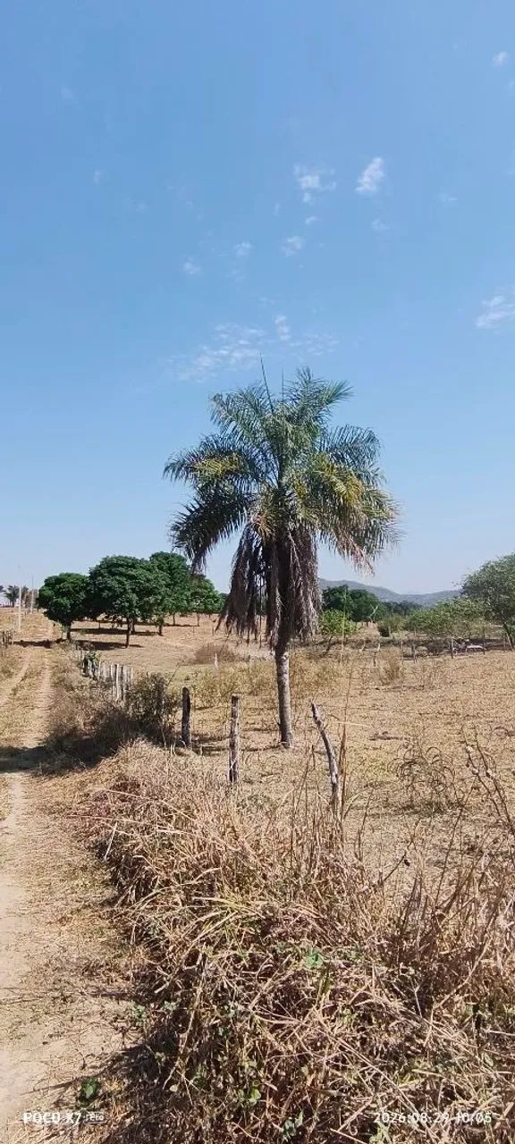 Vendo um terreno - Foto 5