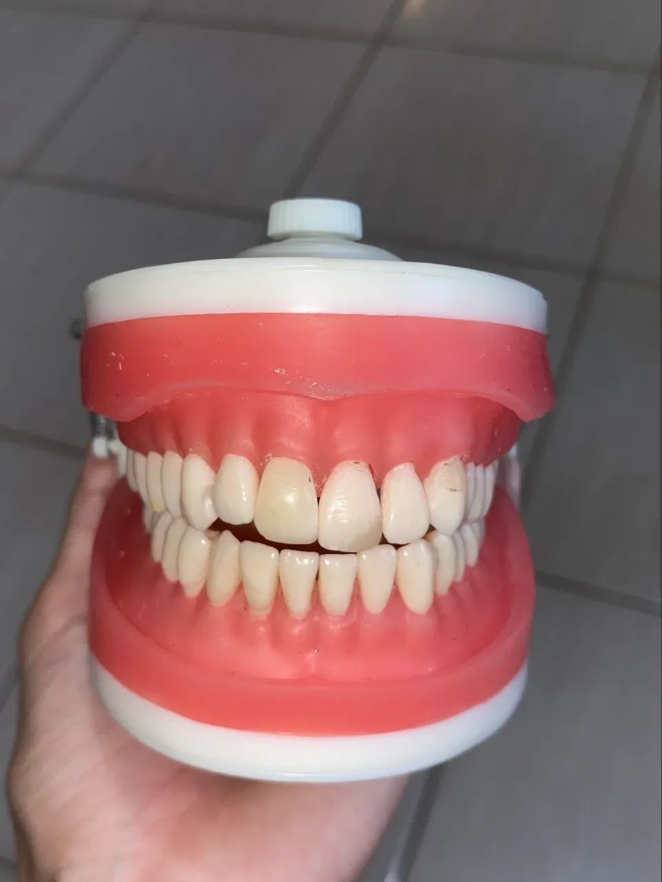 Manequim dentística - Pronew - Foto 3