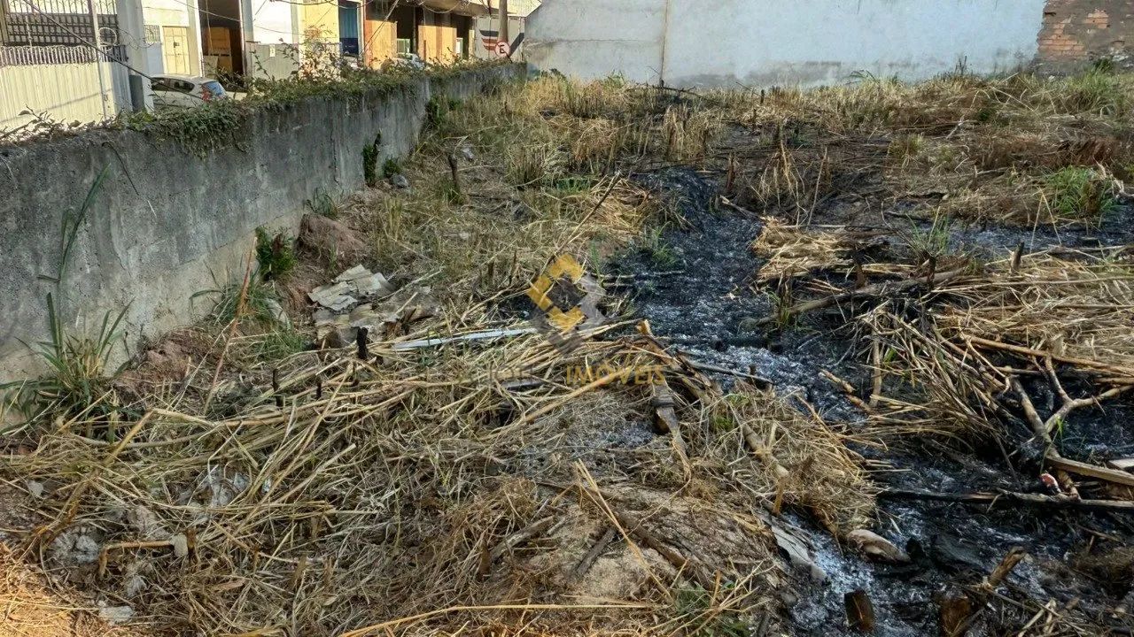 Lote - São Francisco - Foto 4