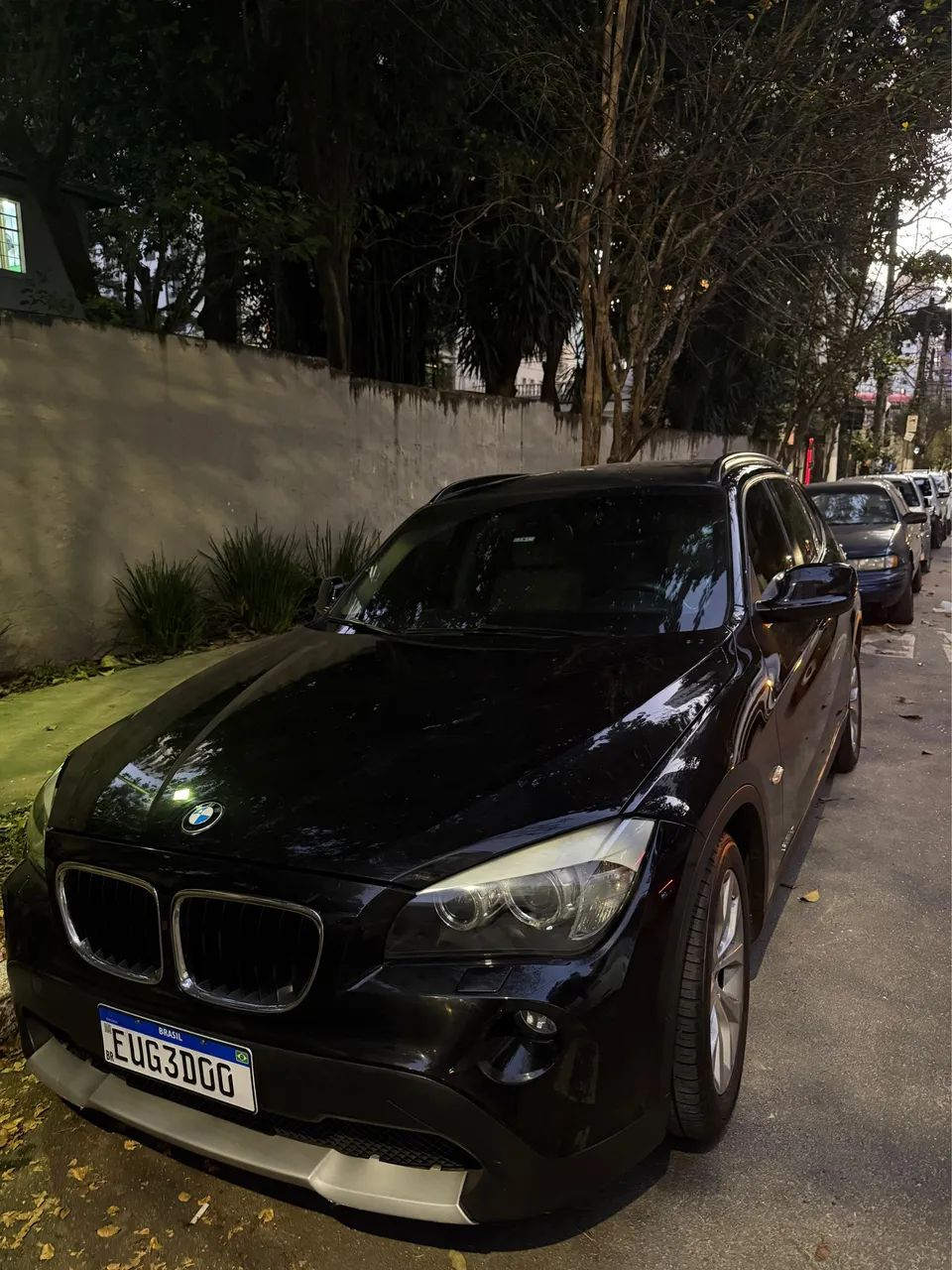 BMW X1 2011