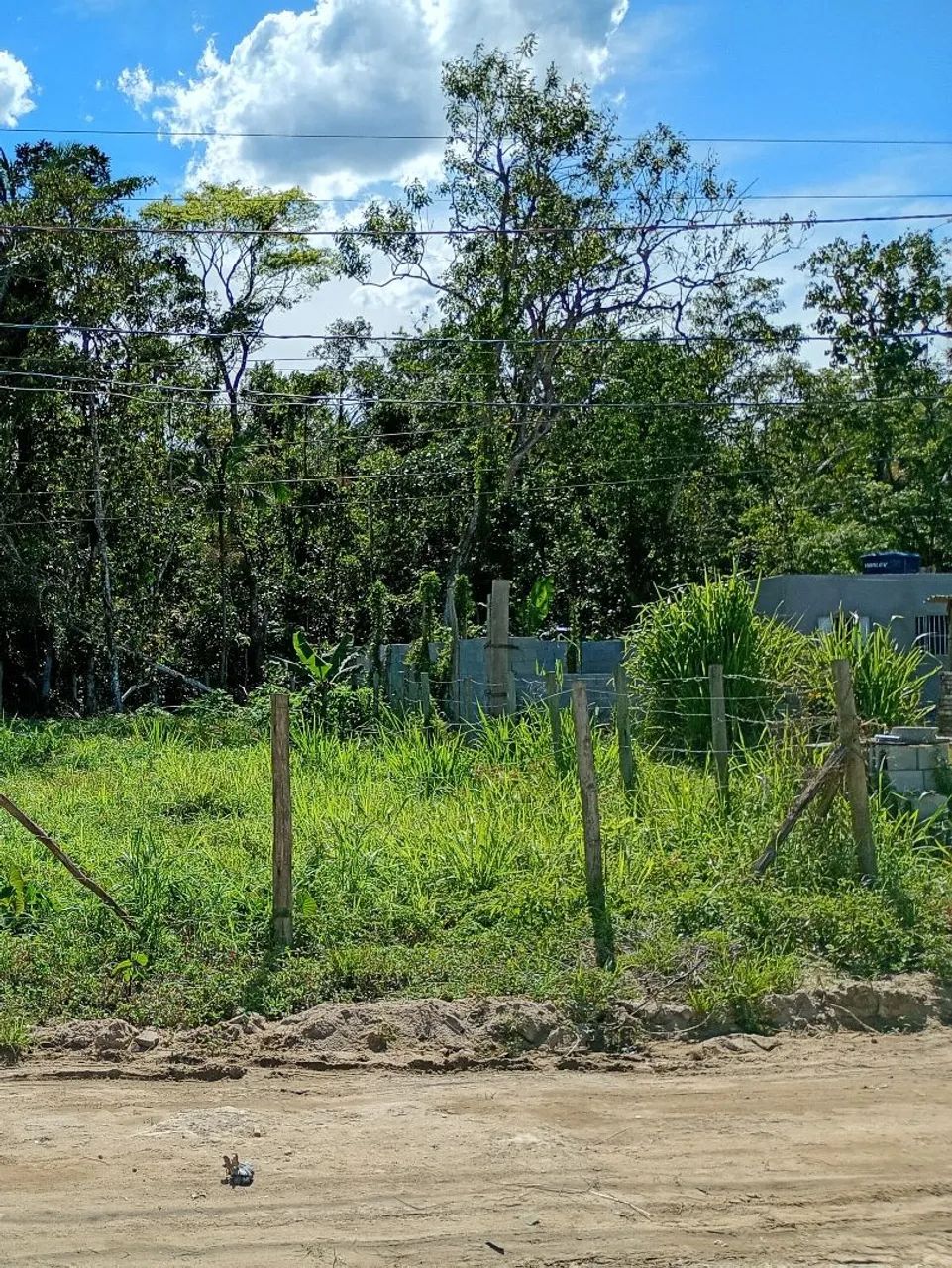 Terreno em Ubatuba  - Foto 4