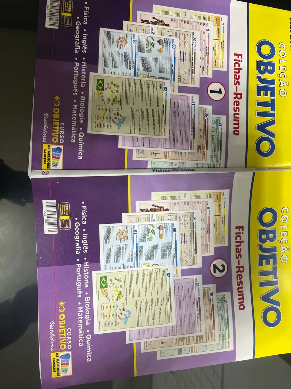 fichas-resumo objetivo 