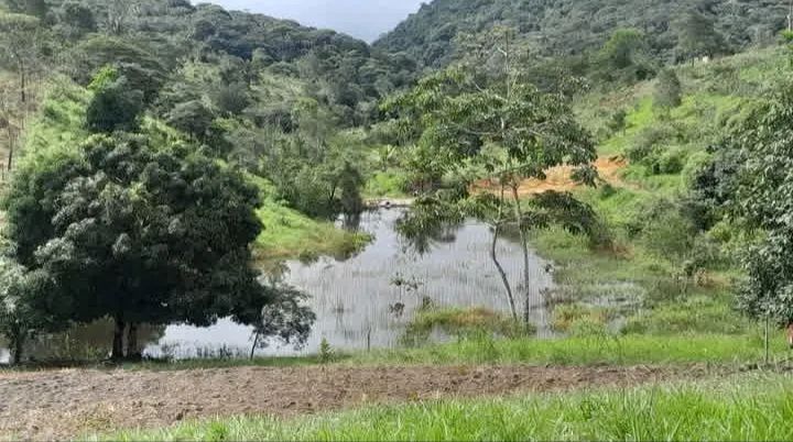 Sitio a venda  - Foto 2