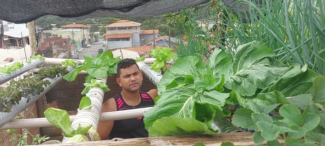 Vendo sistema de criação  de tilapia em caixa dagua e aquaponia - Foto 3