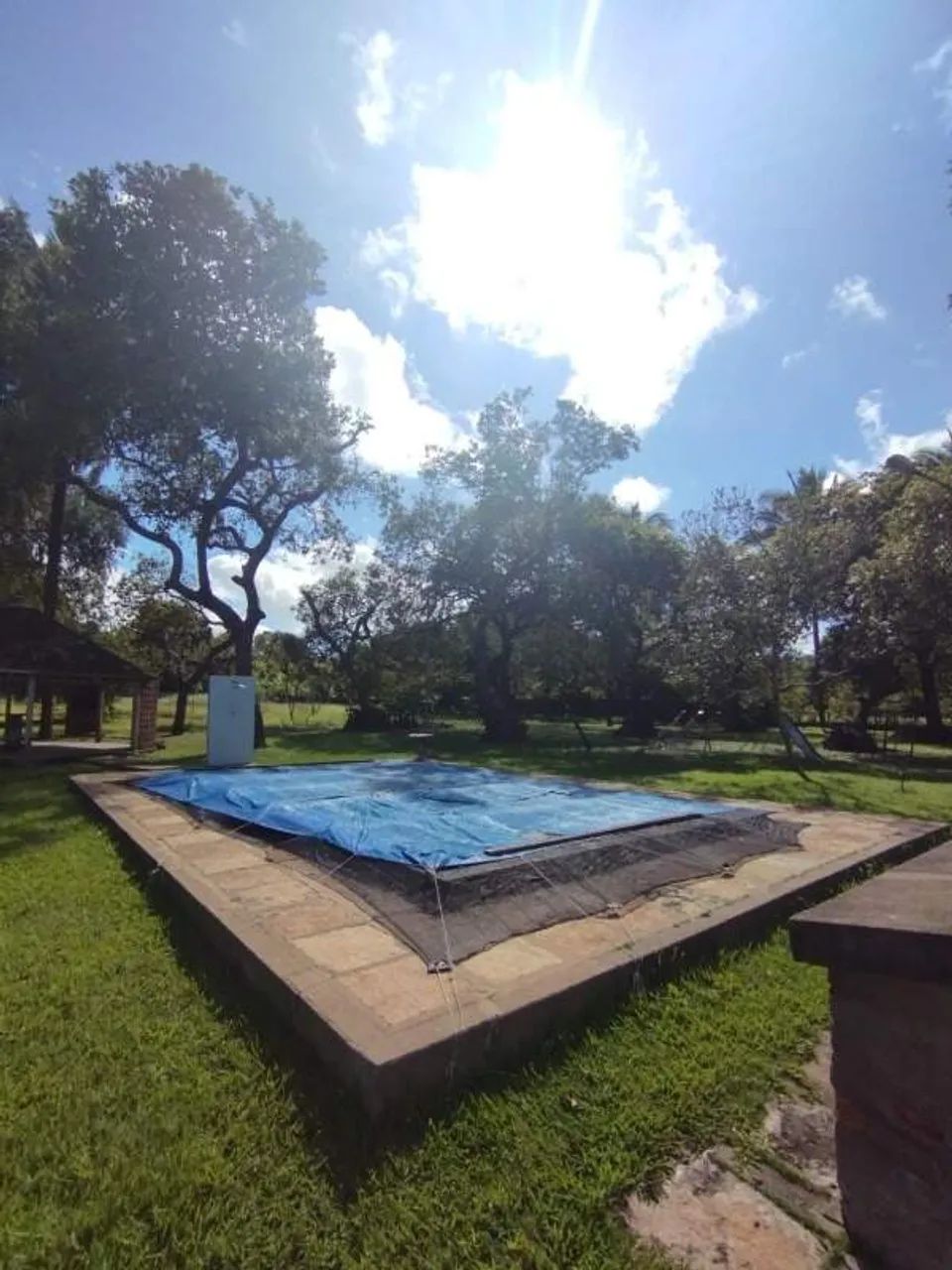 sítio - venda - Foto 3