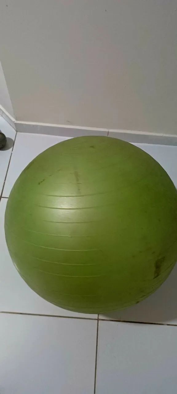 Bola suiça 