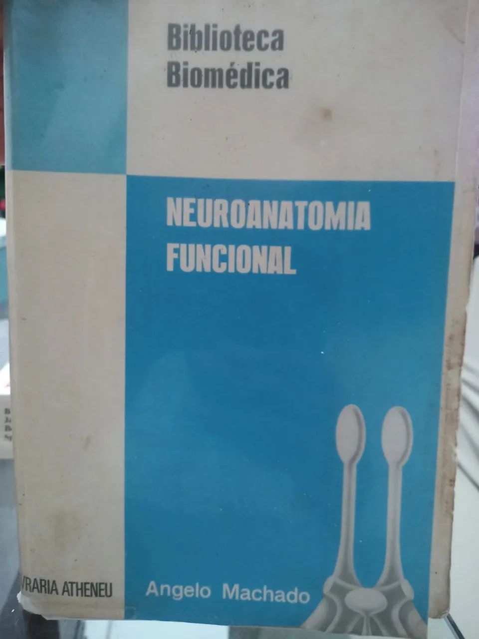NEUROANATOMIA FUNCIONAL ANGELO MACHADO 1981