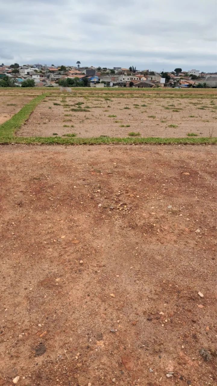 Terreno em Araucária  - Foto 5