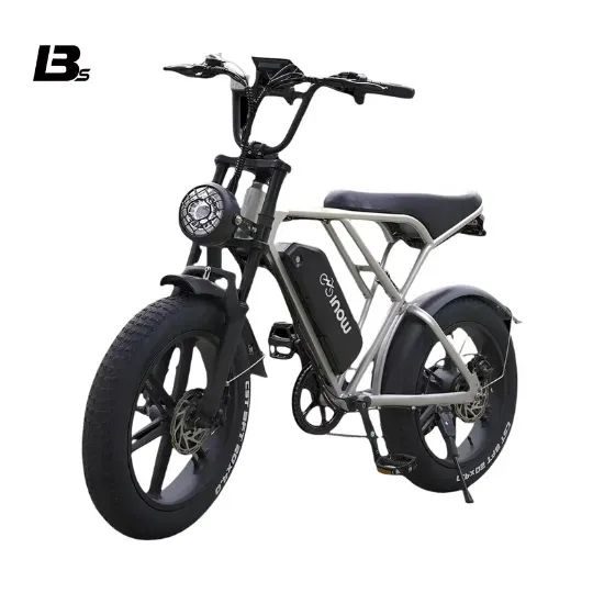 BICICLETA ELÉTRICA 