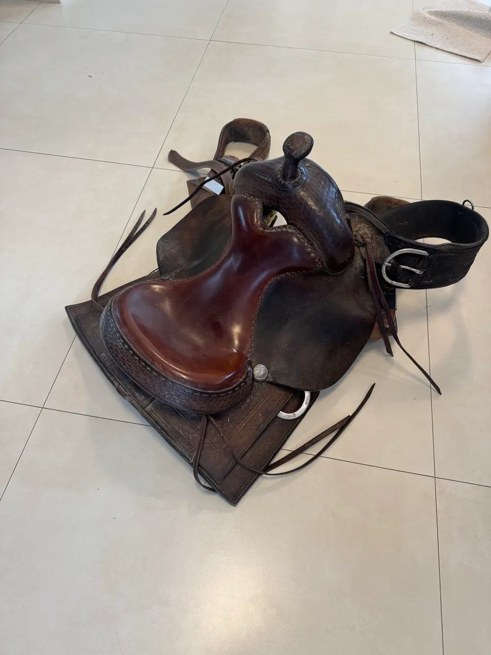 Sela Cavalo  - Foto 4