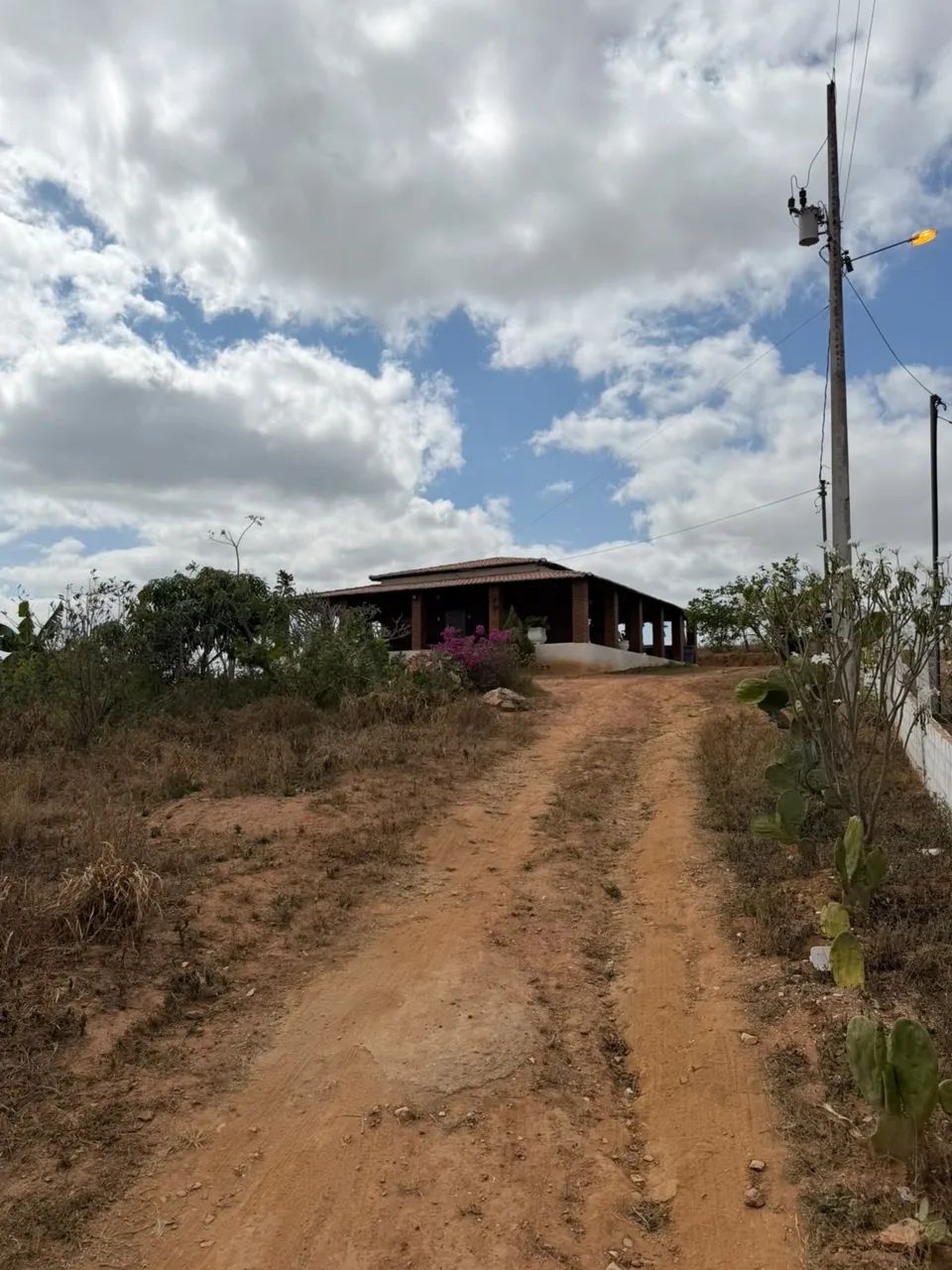 Chácara situado no povoado ingassu  - Foto 5