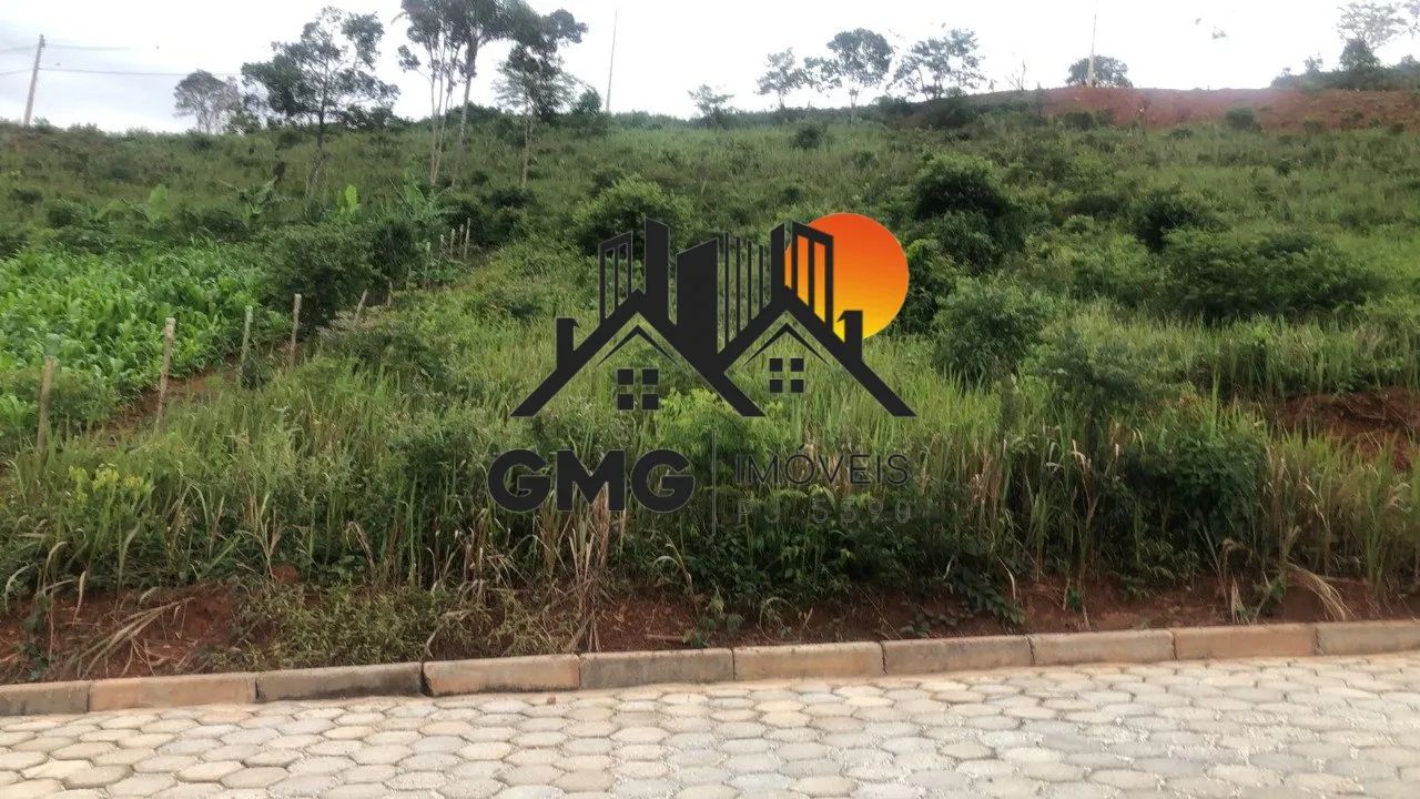 Excelente lote em Padre Viegas - Foto 3