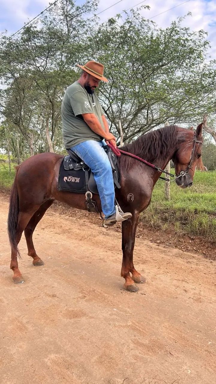 Filho de (seu Chico Tandy)