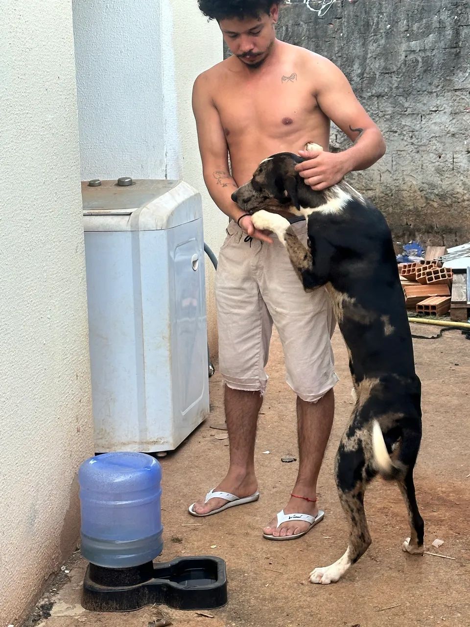 Cachorro macho grande porte  - Foto 4