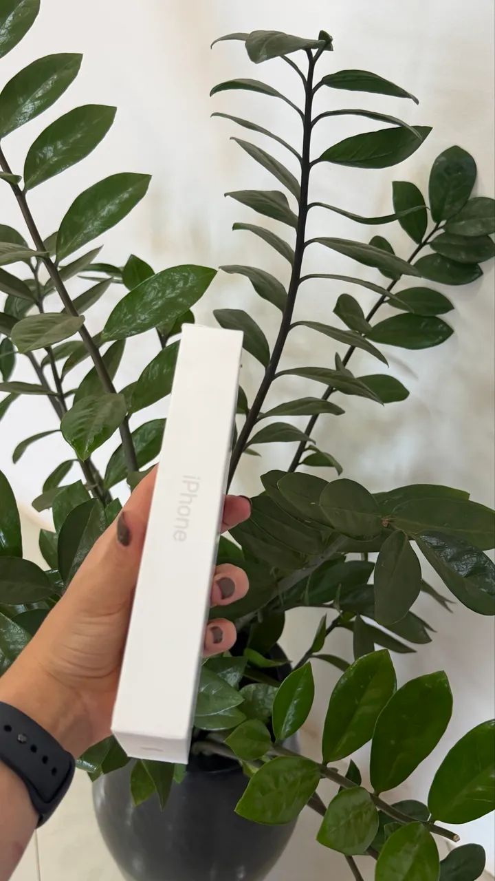 IPHONE 17 PRO MAX 256GB SILVER ?