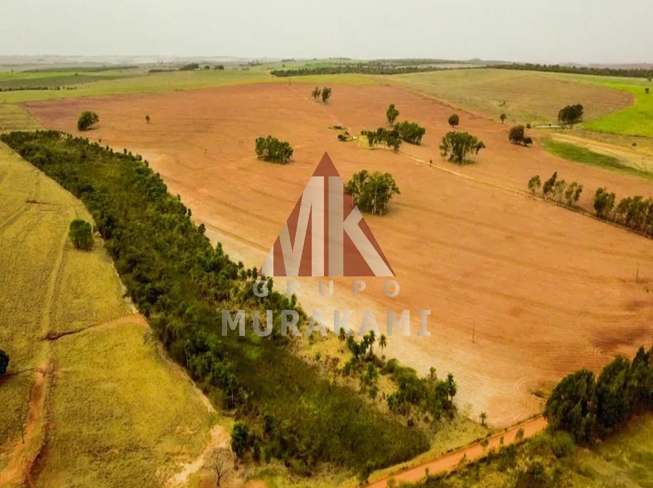 FAZENDA - MARIA HELENA - PR - Foto 4