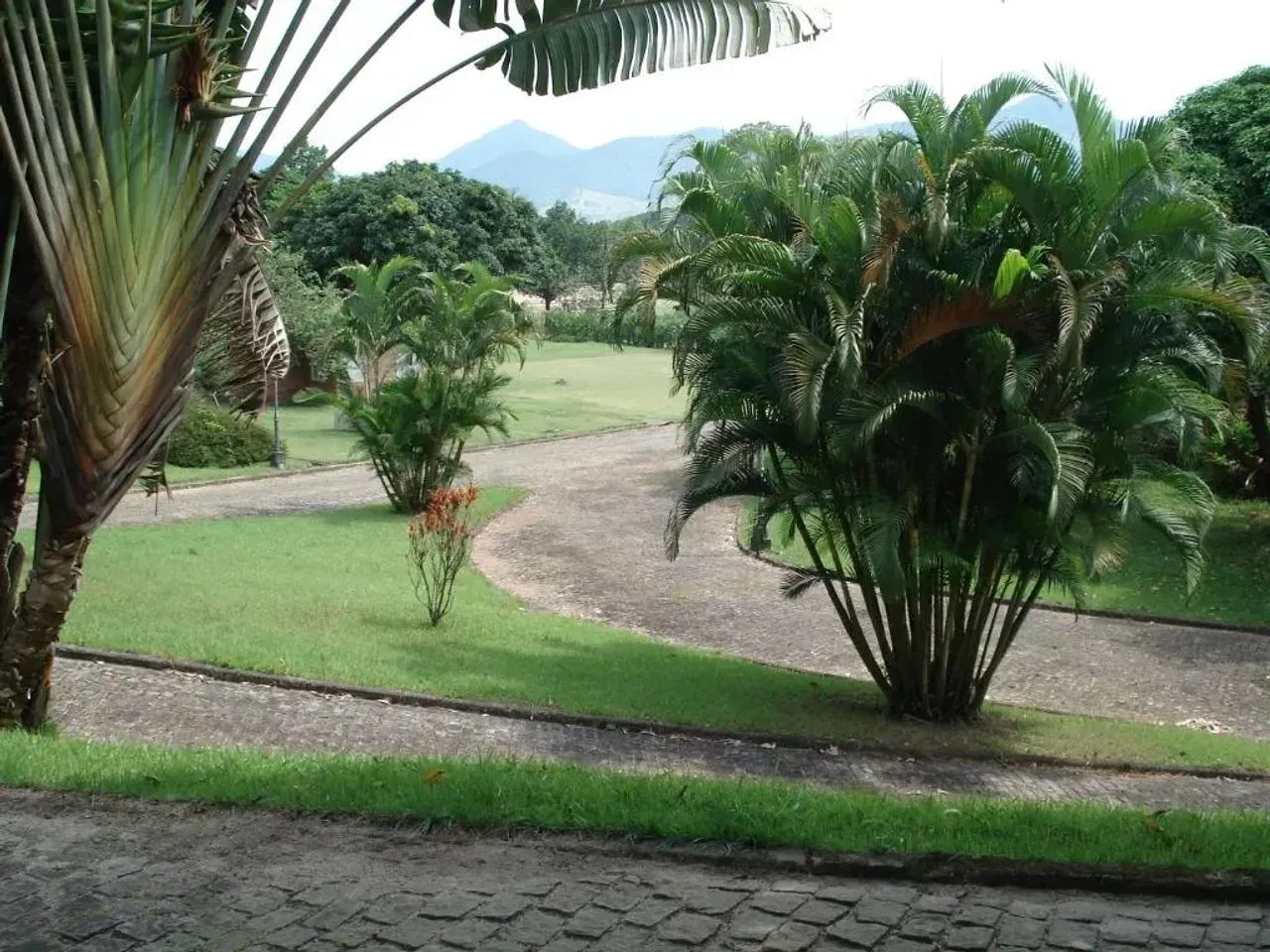 Sítio para venda tem 65000 metros quadrados em Vargem Grande - Rio de Janeiro - RJ - Foto 10