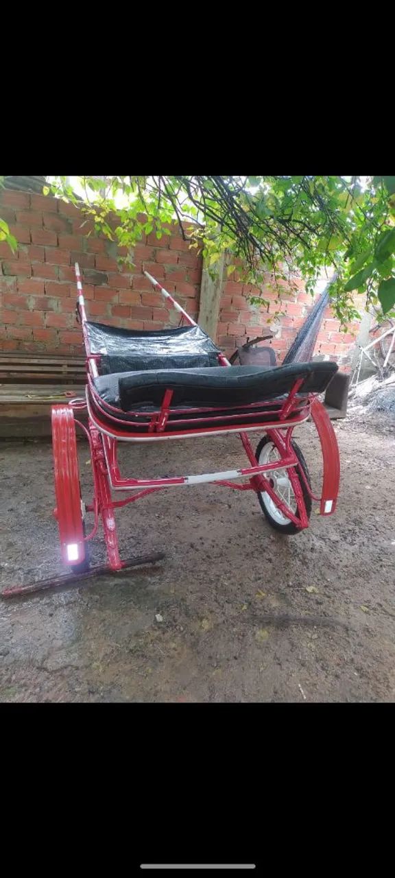 Charrete pra venda . - Foto 3