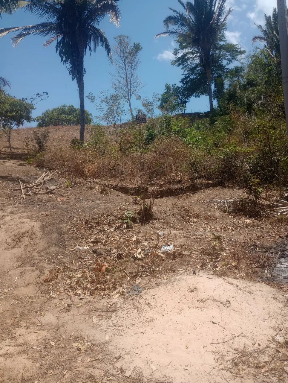 VENDO TERRO NO CAJUPARY - Foto 2