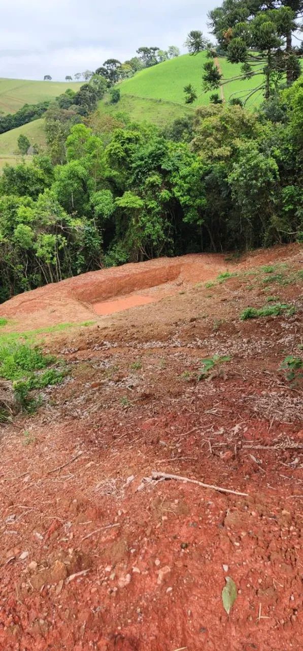 Sítio sul de Minas Bom repouso Mg - Foto 2