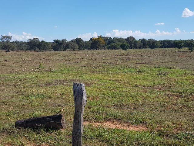 Fazenda na estrada parque de corumba ms - Foto 15