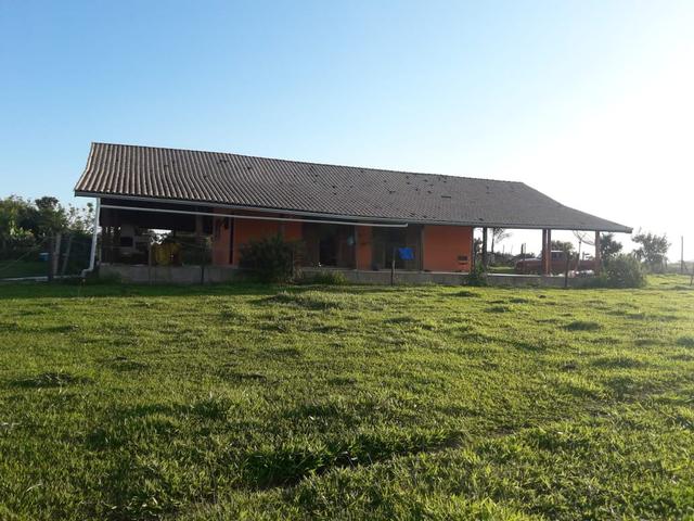 Fazenda - Conchas São Paulo - Foto 18