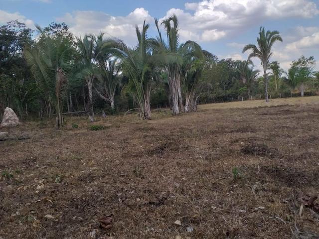 Chácara 7,hac beira do rio municípi de rosario - Foto 10