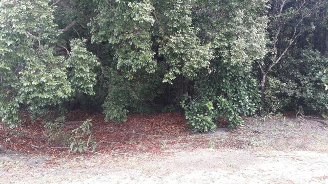 Fazenda em Conde, 18 tarefas - Foto 7