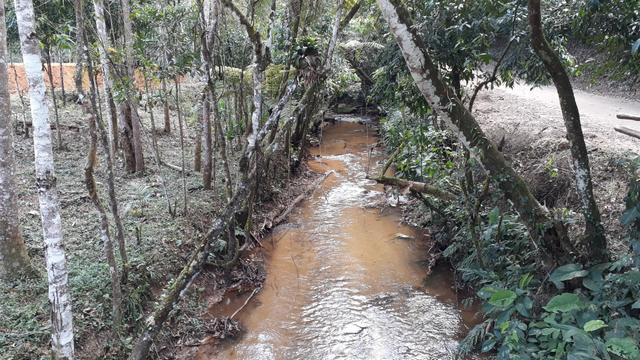 Área rural próximo a Matilde (chácaras 20.000m com escritura) - Foto 2