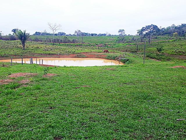 Vende-se terra ramal do mutum - Foto 3